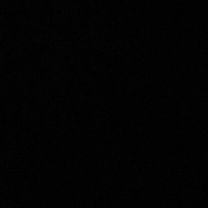 Meet your Posher, Sidney